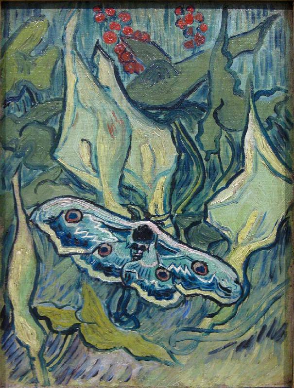 Vincent Van Gogh Butterflies oil painting image